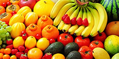 Alimentos y bebidas